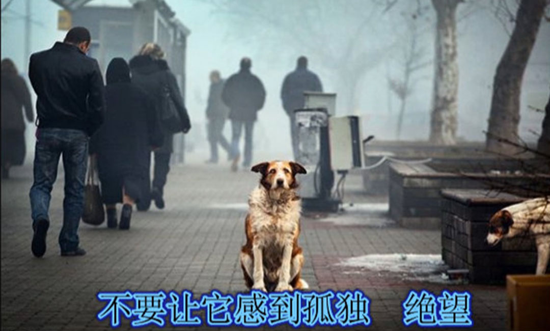 潮州爱影圈微博微信转发案例